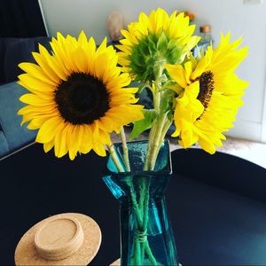 Meet your Posher, Janelle